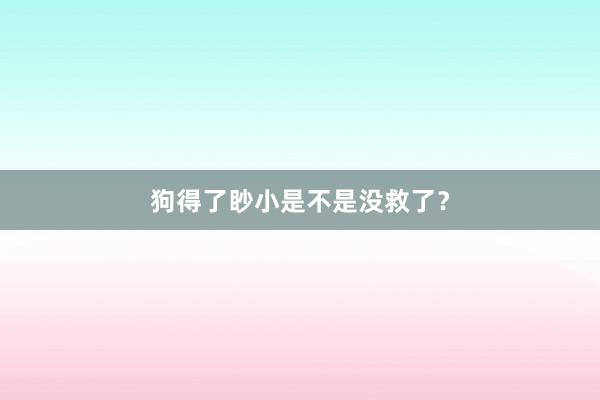 狗得了眇小是不是没救了？