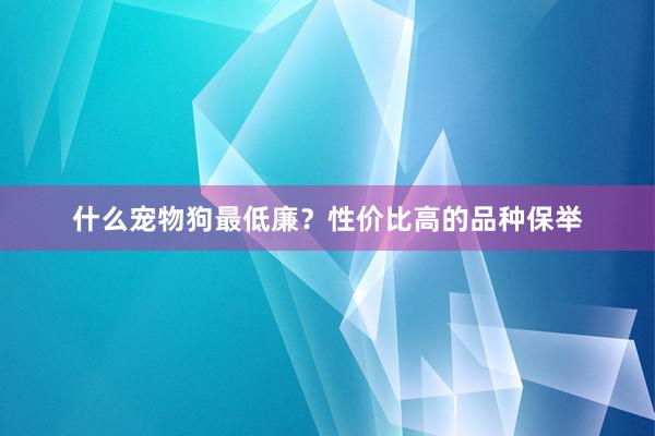 什么宠物狗最低廉？性价比高的品种保举
