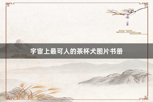 宇宙上最可人的茶杯犬图片书册
